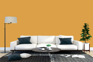 AndinaColor Superior - Ambar