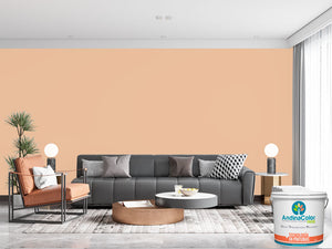 AndinaColor Pintor - Geo