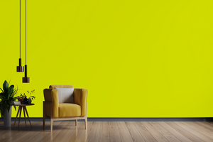 AndinaColor Pintor - Verde Limón