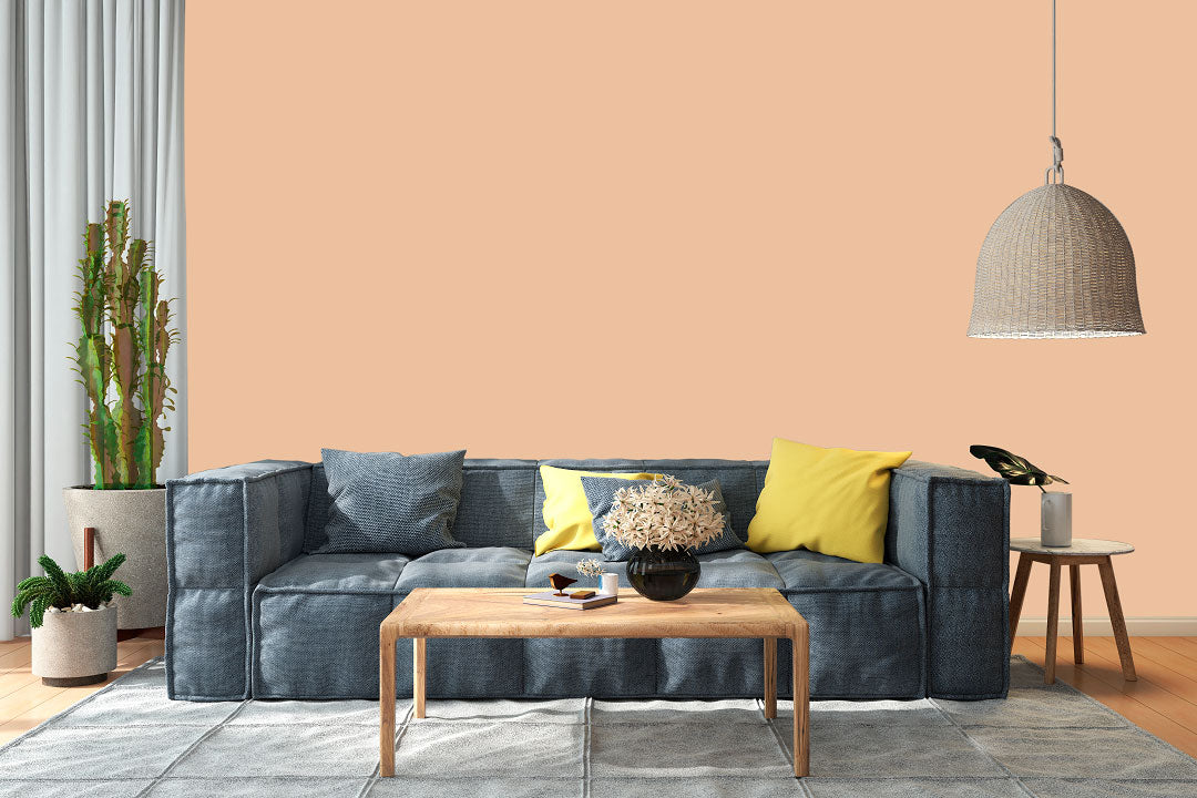 AndinaColor Pintor - Geo