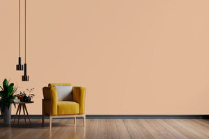 AndinaColor Pintor - Geo