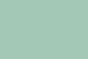 AndinaColor Superior - Menta