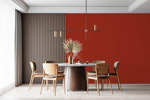 AndinaColor Superior - Terracota