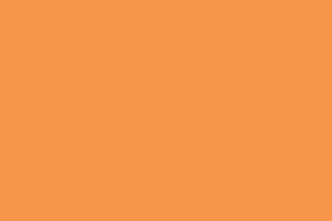 AndinaColor Pintor - Mandarina