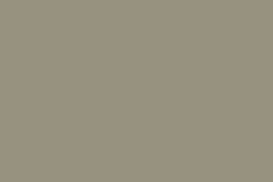 AndinaColor Superior - Neblina