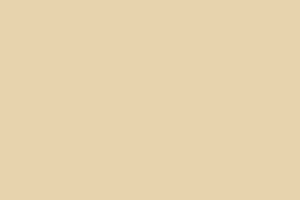 AndinaColor Ultra - Trigo