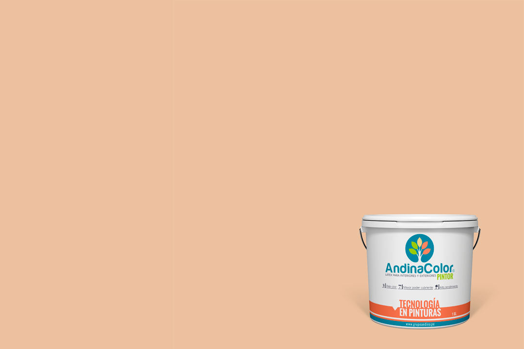 AndinaColor Pintor - Geo